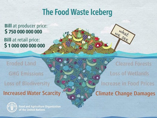 104K views · 1.5K reactions | Each year, 1/3 of all food produced for human consumption is lost or wasted around the globe. This is equivalent to 1.3 billion tonnes of edible food. Make #NotWasting a way of life! | Food and Agriculture Organization of the United Nations (FAO) | Facebook