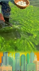 Ở đây https://s.shopee.vn/2g3Xt846Vp | Góc Reviewer