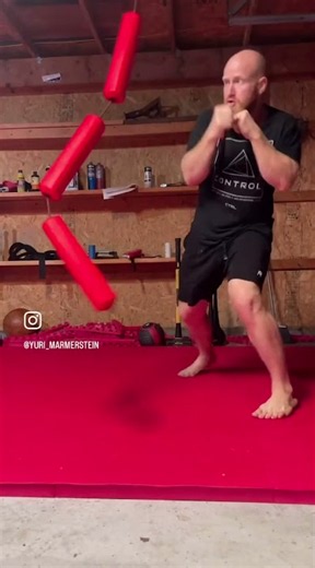 Garage gym movement functional training at home