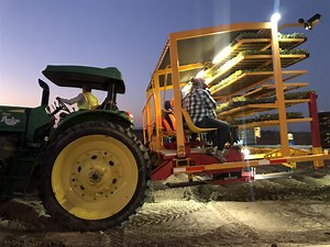 SPECIAL REPORT: Yuma's agriculture business during a pandemic