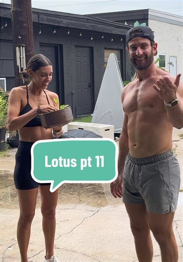 Lotus Flower Plant Care Tips for Beginners