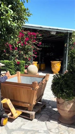 Extra-large teak planter boxes, crafted in Belgium 🌿