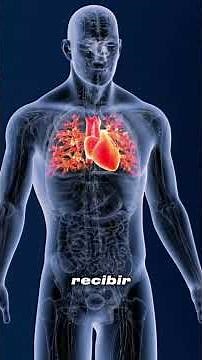 What is a myocardial infarction? #biology #medicine