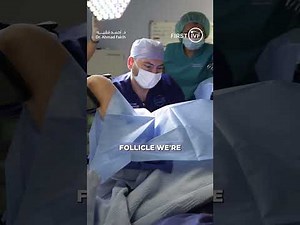 Egg Extraction Process