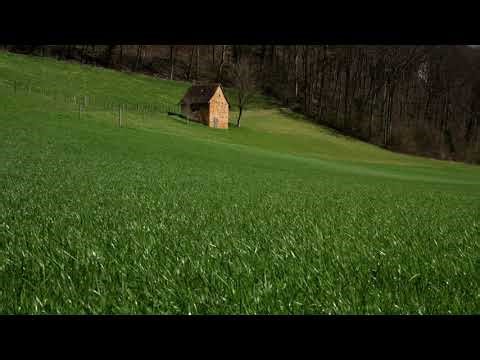 Selected Verses - Surah 21 (al-Anbiya) - Verses 88-92