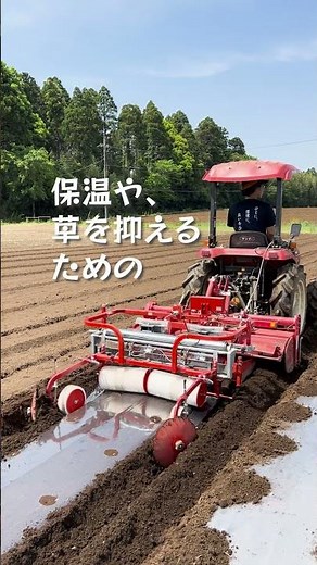 落花生の種まき #落花生 #自然栽培 #播種 #播種機
