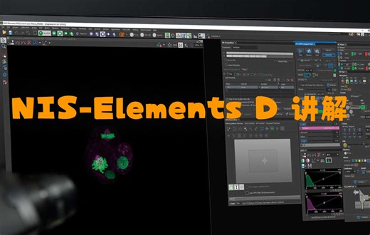 基于尼康显微镜NiU+Ri2的Elements D使用讲解