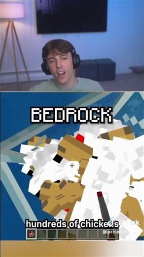 Minecraft Java Vs Bedrock Door... But It's Elytra 🤯