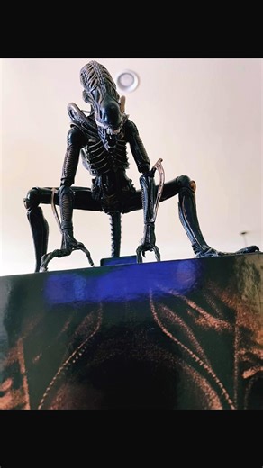 NECA Xenomorph Pose Test 😈🔥 #Alien #Shorts #actionfigure #neca #toys #stopmotion #toyphotography