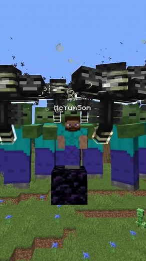 They Greifed Me In Minecraft #minecraft #minecraftmemes #foryoupage