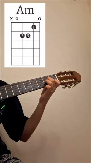 🎸How to play the Am chord