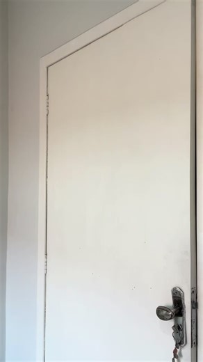 Pocotó: A Alegria do Cavalinho na Festa