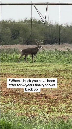 We meet again #bigbuck