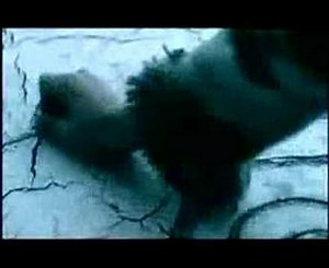 Tragedy-Celldweller (MirrorMask)