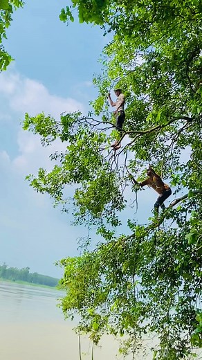 Dưa Gour Gour on Reels