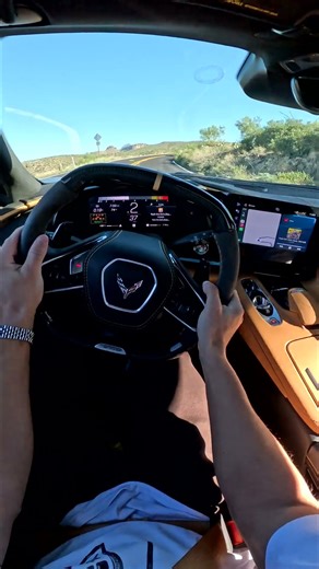 Z06 or 458? be honest 👀🏁 #shorts