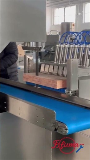 Automatic Composite Meat Slabs Slicer for Pet Food Processing