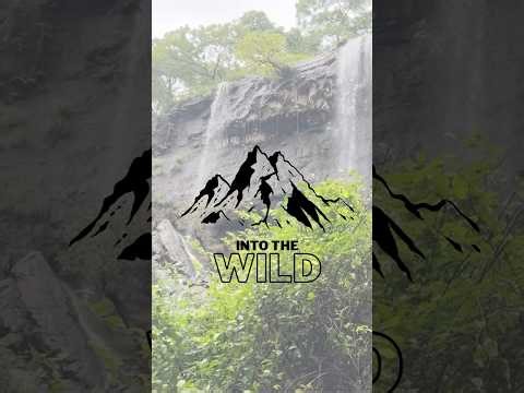 When students from the Rotaract Club of H.R. College took a journey “Into the Wild!”