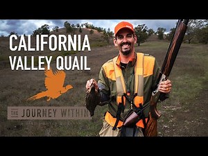 Valley Quail, Southern Oregon: The Journey Within - A Bird Hunter's Diary | Mark V Peterson