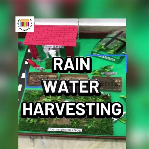 Working models #schoolproject #diy #workingmodel #science #project #instareels #craft #art #artist