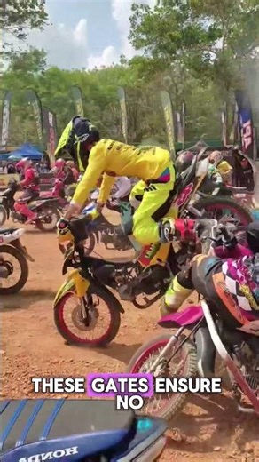 What Is the Purpose of Starting Gates