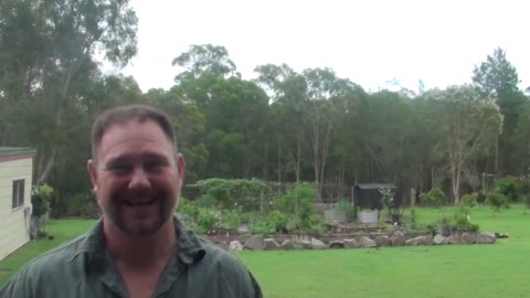 Ceylon Hill Gooseberry Growing & Harvest