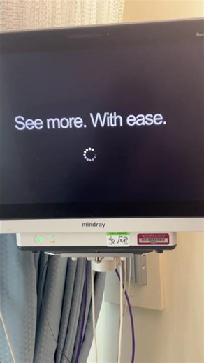 Lot of 3 Mindray BeneVision N17 monitors