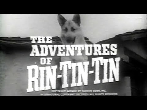 Classic TV Theme: The Adventures of Rin-Tin-Tin