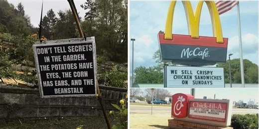 25 Interesting Signs That Are Kind Of Hilarious But Also Witty