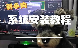 新手向装系统教程，手把手教你安装系统（基础U盘安装方式，适合大部分电脑安装WIN7/10/11~）