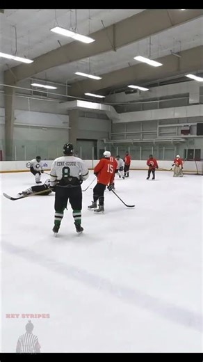 easy call no argument - Hey Stripes! The Micd Up GoPro Hockey Refcam