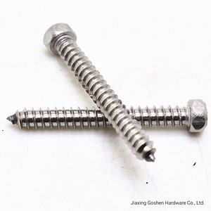 [Hot Item] DIN 7976 St5.5*45mm Hexagon Self-Tapping Screws