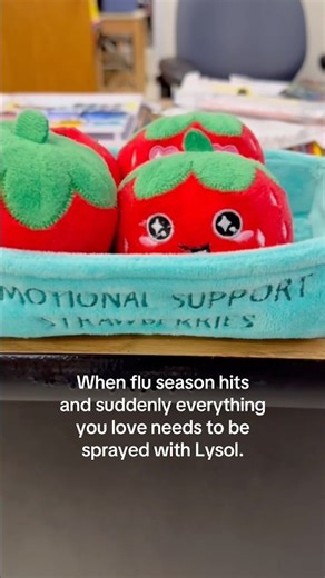 Flu Season Precautions