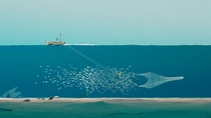 Animation Trawler Catches Fish Sea Fisherman Stock Footage Video (100% Royalty-free) 1084041373 | Shutterstock