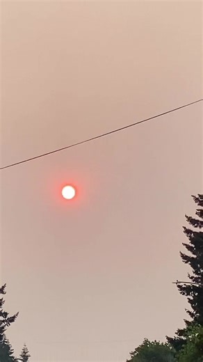 Instead of sweater season, it’s zombie season. #oregon #summervibes #SplashSummerVibe #portlandcheck