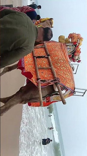 #@mate deidele asubidha kn ❤️ #newsong trending #love human sagar 🙏 #song at sea beach ❤️