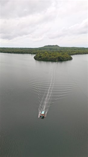 Flyby at LAKE DANAO PARK - Camotes Island, Cebu CEBU TOURISM LOOP 2025 PHILIPPINE ISLAND GRAND TOUR #lakedanao #LakeDanaoNaturalPark #LakeDanaoPark #lakedanaocamotes #camotes #CamotesIsland #CamotesIslandCebu #cebutourism #cebutourismloop | Nicodimo Saguirel
