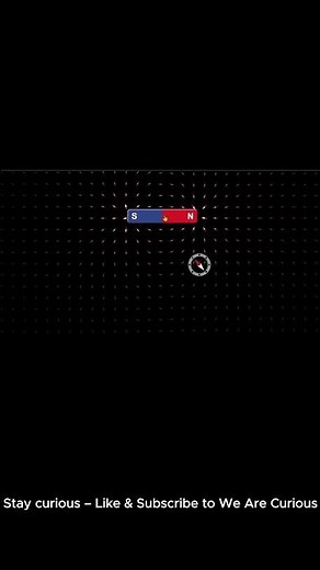 Compass vs Magnet 🧭⚡ Which Side Wins? | Amazing Science Trick #shorts