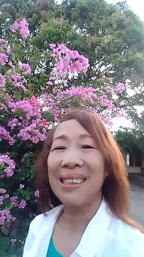 #Bougainvellia whisper a melody of pure joy🌸🌸🌹🌹🌼🌼!#fbreels;#reelsfbvideo;#bougainvellliaflowers,;#beautifulgarden;#naturebeauty;#🎉🎉🎉🎉 | Divinia S. Gregore