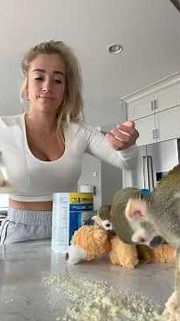 snapchat👻- OLIVERANDOAKLEY #madlovesripley #monkey #beauty #grwm #animals #funny #viral #fashion❤️