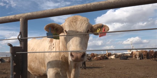 Proposed Oregon ballot measure to ban hunting and fishing reports new fundraising details