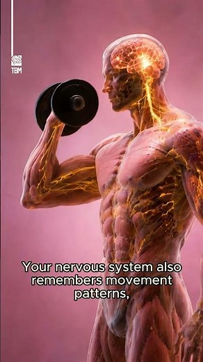 The Memory Of Your Muscles