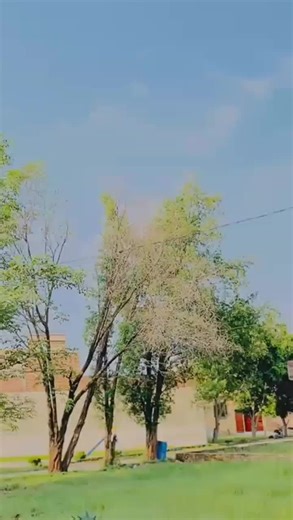 #Voice of astad shah nawaz king of lohare zaini champ 46 with dani king 46 zafawal @👑Chota Shah Nawaz 46👑 @Azhar Abbas Tarar @دانی کنگ ۴۶ ✌️🇵🇸 @zahoor _6T❤️ @imran 46 @Geek Coder @Daniking👑 @Rana farooq