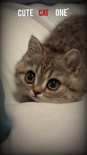 The Last One Is | 💀☠️