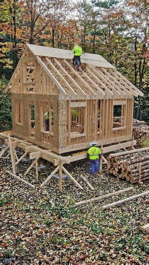 Building Tiny Cabins Completely Alone #diy #cabinbuild #construction