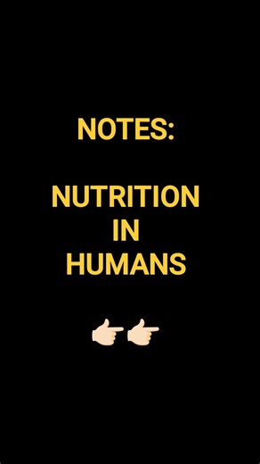 CLASS 10TH BIOLOGY NUTRITION IN HUMANS FLOWCHART