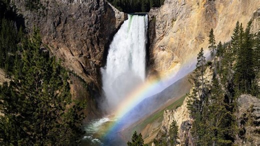 2025 Year In Review: Yellowstone National Park | Yellowstone Forever