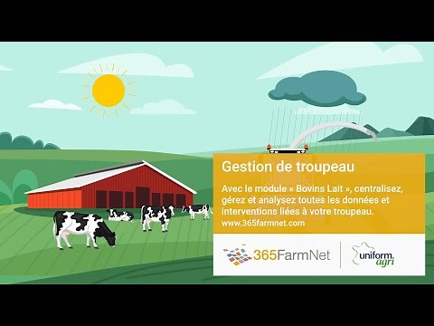Bovins Lait | Gestion efficace du troupeau avec 365FarmNet