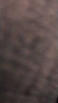 Review of 1999 Disney Bounce ‘n sing Tigger and Roo by Mattel