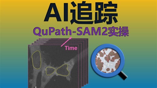 追踪神器！SAM2 一键追踪，QuPath插件